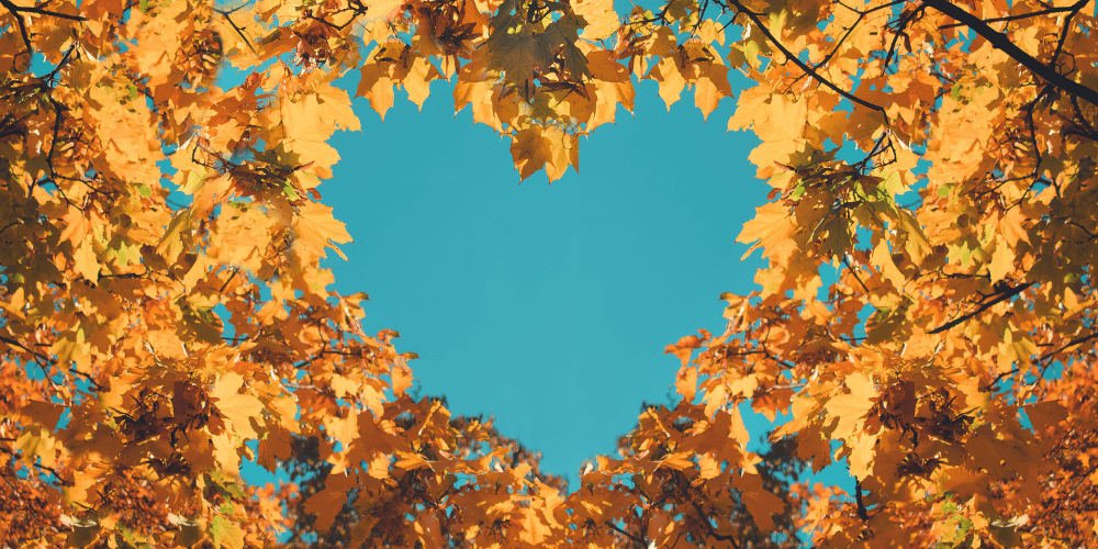image of a heart in fall leaves to demonstrate the importance of staying motivated in the fall